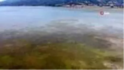 Son Dakika | Ladik Gölü'nde kara göründü Son Dakika | Ladik Gölü'nde kara göründü