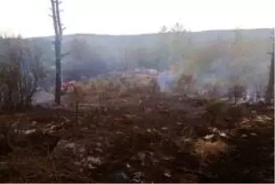 Son dakika haberi... Muğla'da 'Yıldırım' yangınları başladı Son dakika haberi... Muğla'da 'Yıldırım' yangınları başladı