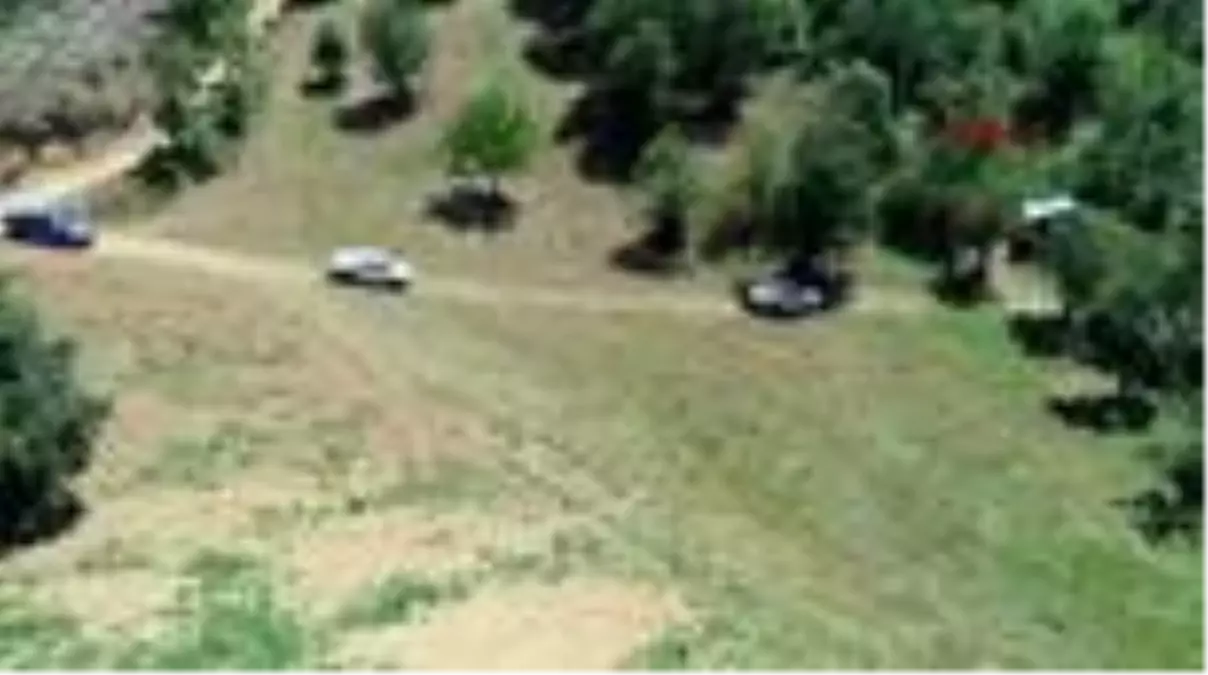 Son Dakika: Ormanlık alanda binlerce kök Hint keneviri ele geçirildi