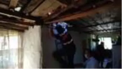 Son dakika haberi... Ormanlık alanda binlerce kök Hint keneviri ele geçirildi Son dakika haberi... Ormanlık alanda binlerce kök Hint keneviri ele geçirildi