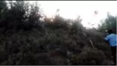 Son dakika haberi! Piknikçilerin uğrak yeri olan Esenpınar Göleti'nin çevresinde yangın çıktı Son dakika haberi! Piknikçilerin uğrak yeri olan Esenpınar Göleti'nin çevresinde yangın çıktı