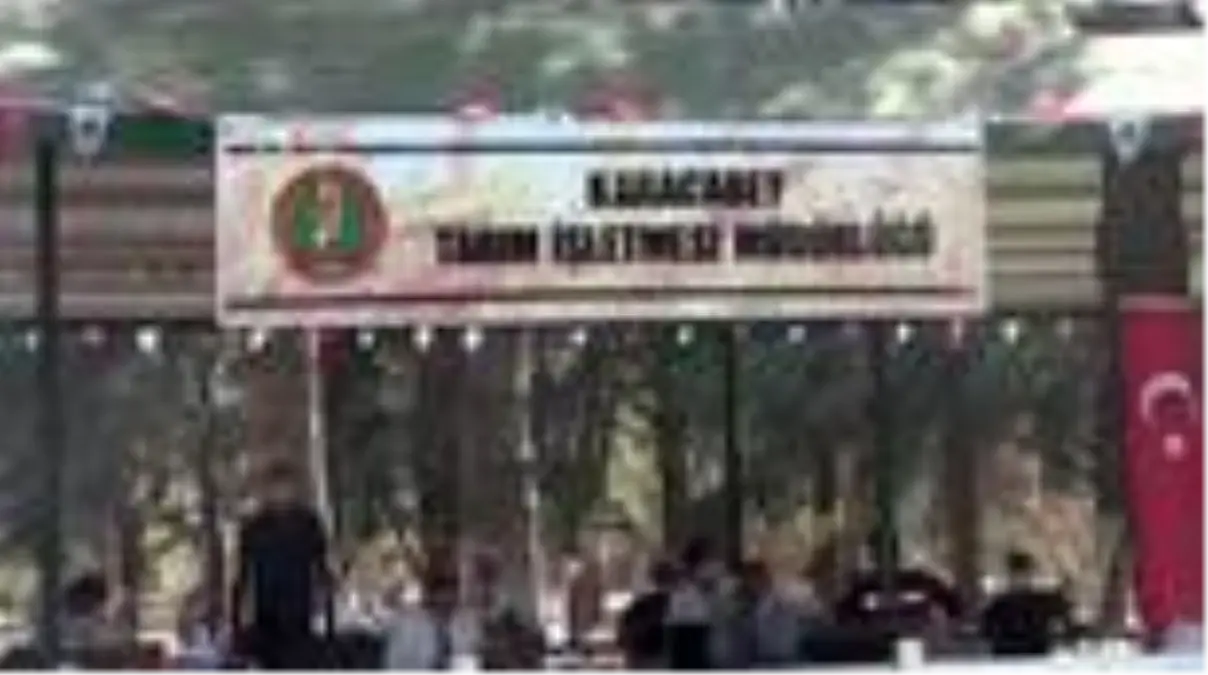 Safkan Arap taylarının satışından 3,1 milyon lira gelir elde edildi