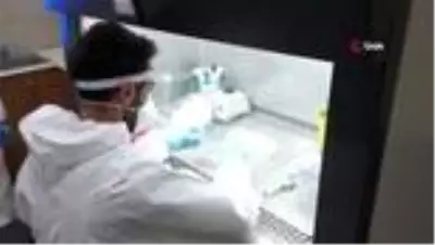 Tatvan Devlet Hastanesi PCR testlerini artık kendi bünyesinde yapıyor Tatvan Devlet Hastanesi PCR testlerini artık kendi bünyesinde yapıyor