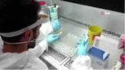 Tatvan Devlet Hastanesi PCR testlerini artık kendi bünyesinde yapıyor Tatvan Devlet Hastanesi PCR testlerini artık kendi bünyesinde yapıyor