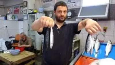 Tezgahlar çingene palamudu ile şenlendi Tezgahlar çingene palamudu ile şenlendi