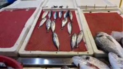 Tezgahlar çingene palamudu ile şenlendi Tezgahlar çingene palamudu ile şenlendi