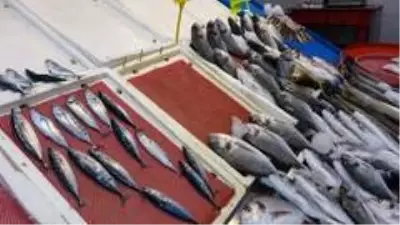 Tezgahlar çingene palamudu ile şenlendi Tezgahlar çingene palamudu ile şenlendi