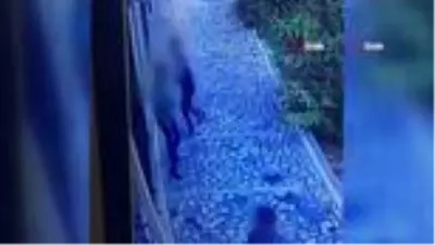 Son dakika haberleri... Üç çocuğun kamerayı kırıp dükkanlara zarar verdiği anlar kamerada Son dakika haberleri... Üç çocuğun kamerayı kırıp dükkanlara zarar verdiği anlar kamerada