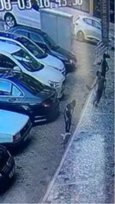 Son dakika haberi... Üç çocuk kamerayı kırıp dükkanlara zarar verdi Son dakika haberi... Üç çocuk kamerayı kırıp dükkanlara zarar verdi