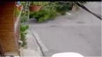 Ağaç, bisikletli çocuğun üstüne devrildi! Olay anı saniye saniye kamerada Ağaç, bisikletli çocuğun üstüne devrildi! Olay anı saniye saniye kamerada