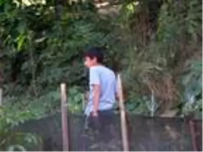 Ağaç, bisikletli çocuğun üstüne devrildi! Olay anı saniye saniye kamerada Ağaç, bisikletli çocuğun üstüne devrildi! Olay anı saniye saniye kamerada