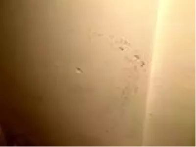 Son dakika! Vali yardımcısı, annesi ve kardeşini mal paylaşımı tartışmasında öldürmüş (2) Son dakika! Vali yardımcısı, annesi ve kardeşini mal paylaşımı tartışmasında öldürmüş (2)