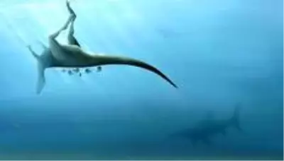 İngiltere'de T-Rex'in kuzeni yeni bir dinozor türü keşfedildi İngiltere'de T-Rex'in kuzeni yeni bir dinozor türü keşfedildi