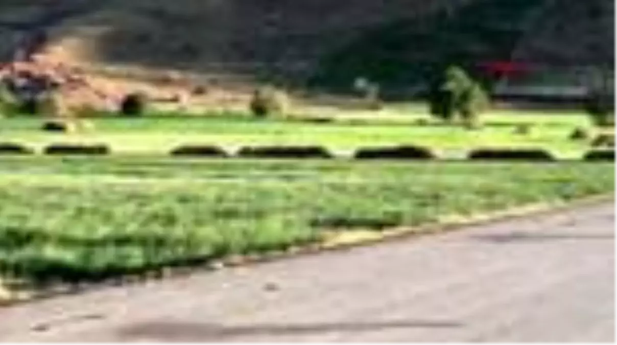 Son dakika haberleri: Yüksekova'da 1 köy karantinaya alındı