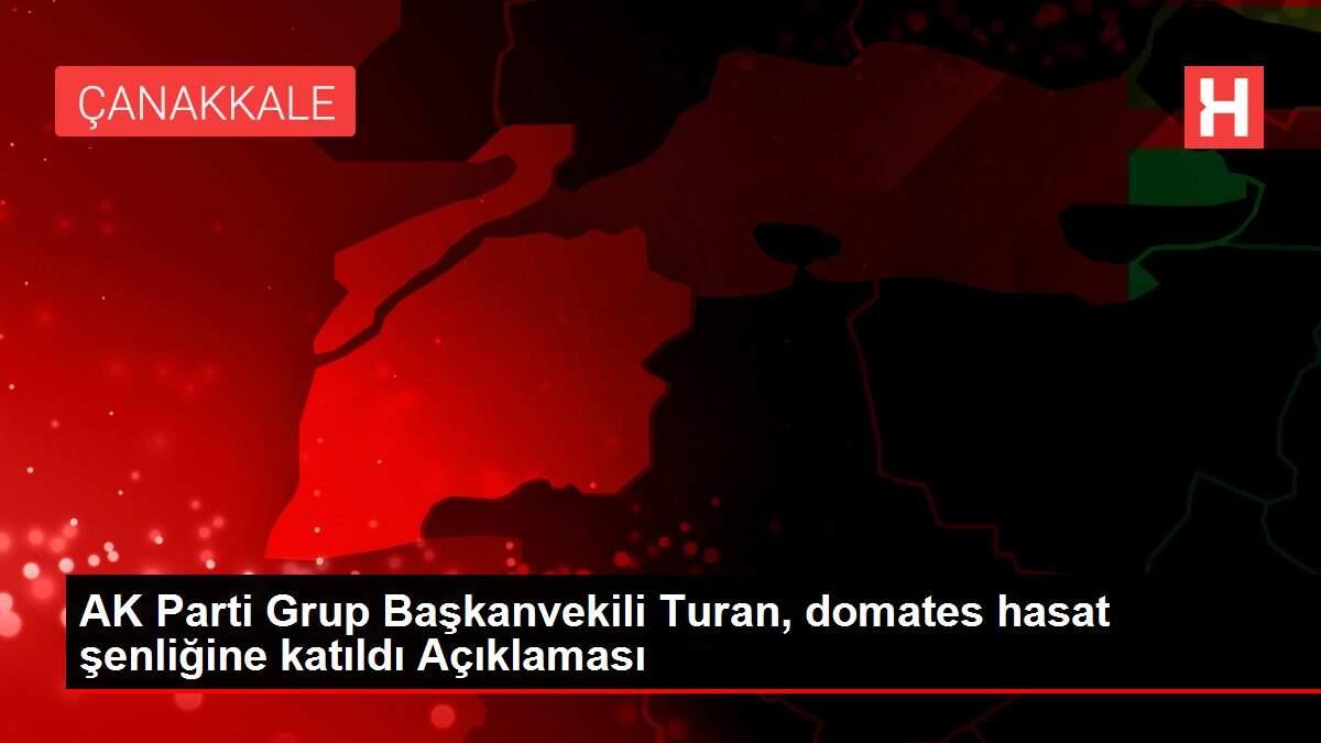 AK Parti Grup Başkanvekili Turan, domates hasat şenliğine katıldı Açıklaması AK Parti Grup Başkanvekili Turan, domates hasat şenliğine katıldı Açıklaması