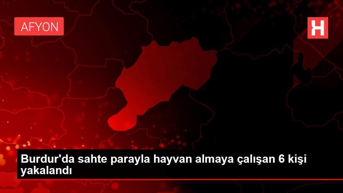 Burdur'da sahte parayla hayvan almaya çalışan 6 kişi yakalandı Burdur'da sahte parayla hayvan almaya çalışan 6 kişi yakalandı