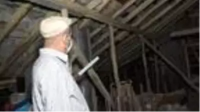 Yarasalar çatıya yuva yaptı, binadakiler korona korkusu yaşıyor Yarasalar çatıya yuva yaptı, binadakiler korona korkusu yaşıyor