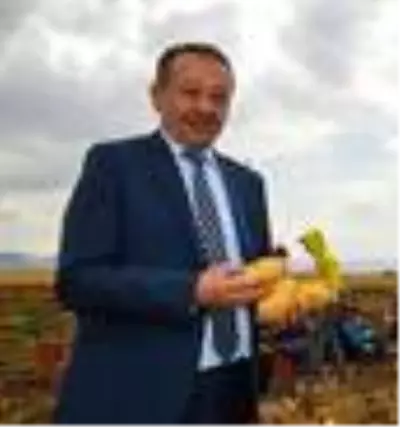 Çorum'da patates hasadı başladı Çorum'da patates hasadı başladı