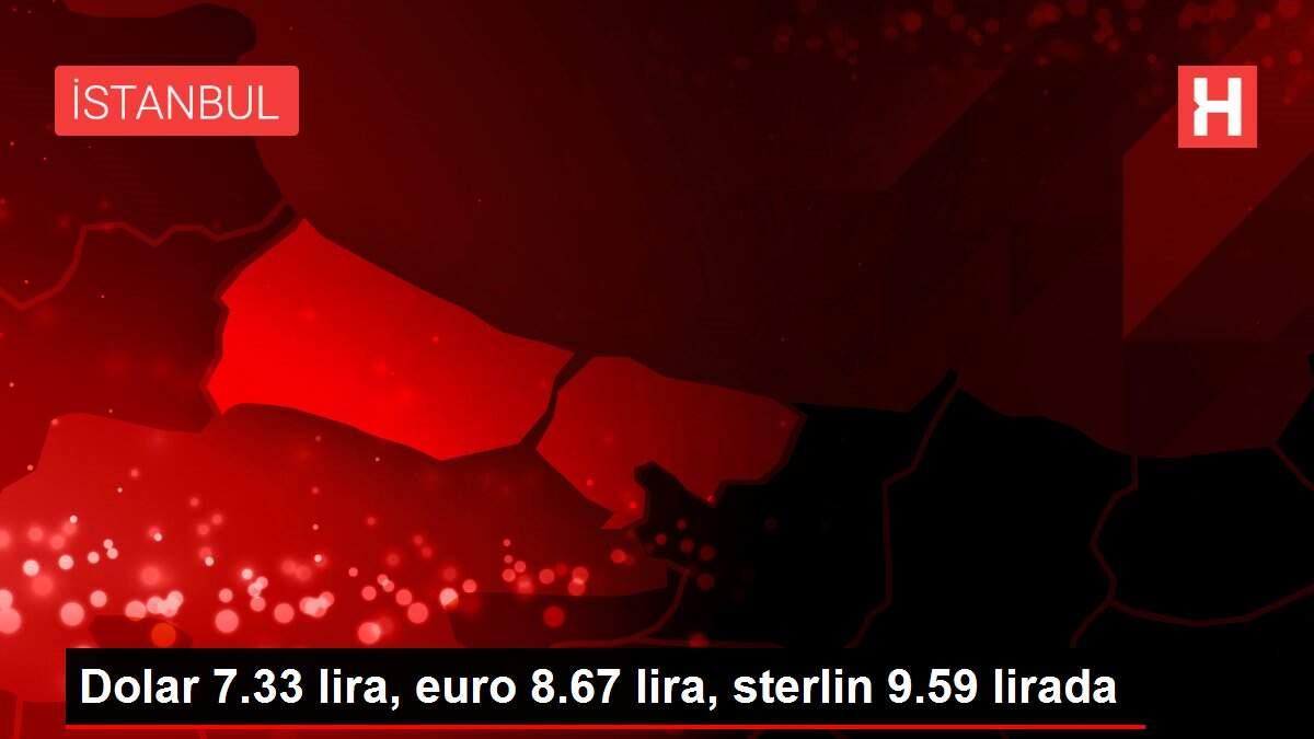 Dolar 7.33 lira, euro 8.67 lira, sterlin 9.59 lirada Dolar 7.33 lira, euro 8.67 lira, sterlin 9.59 lirada