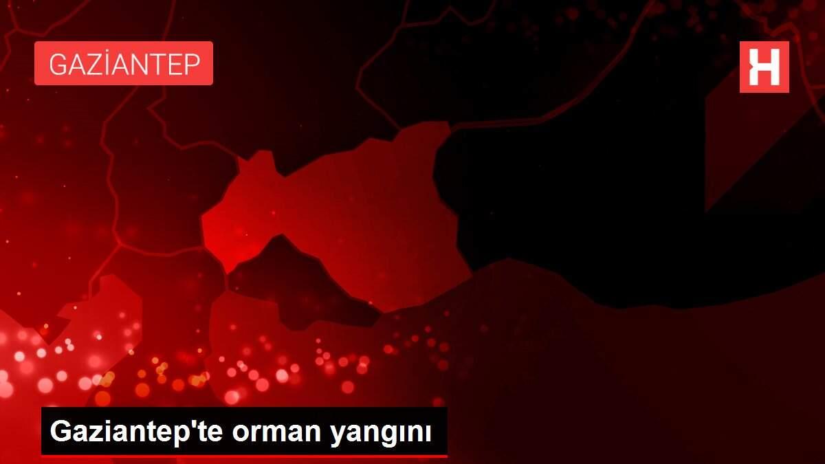 Son dakika haberi | Gaziantep'te orman yangını Son dakika haberi | Gaziantep'te orman yangını