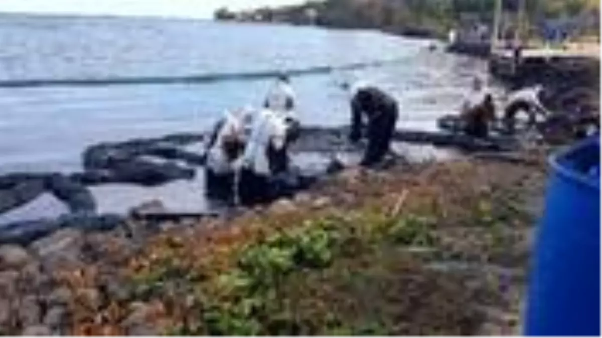 Hint Okyanusu'nda karaya oturan Japon tankeri, ekosistemi ciddi ölçüde tehdit ediyor