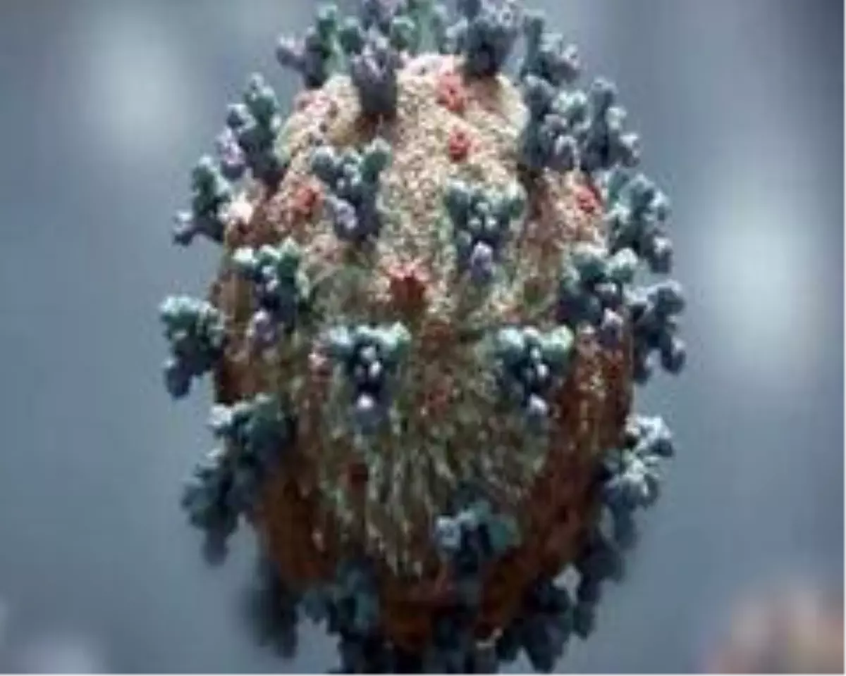 İtalya'dan 4 ülkeye korona virüs testi şartı