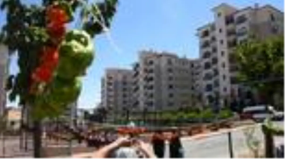 Kurutmalıklar binaları renklendiriyor