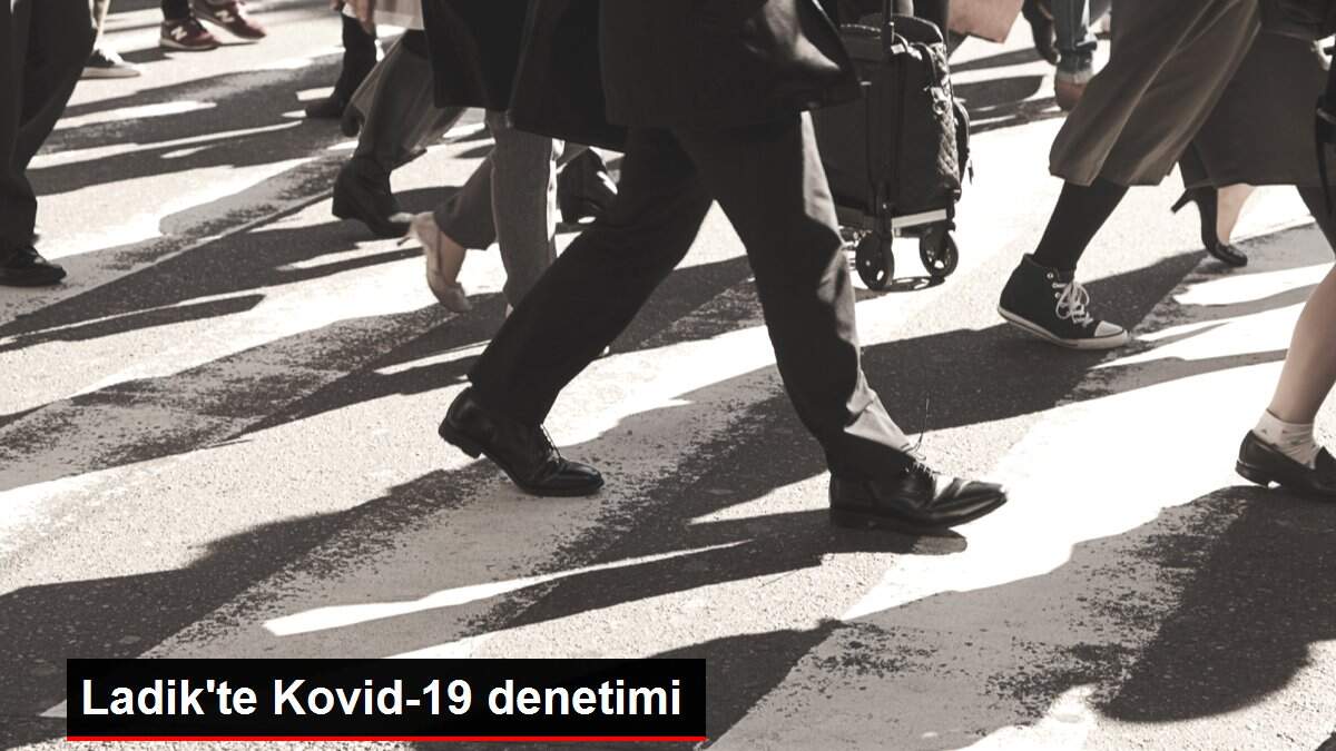 Ladik'te Kovid-19 denetimi
