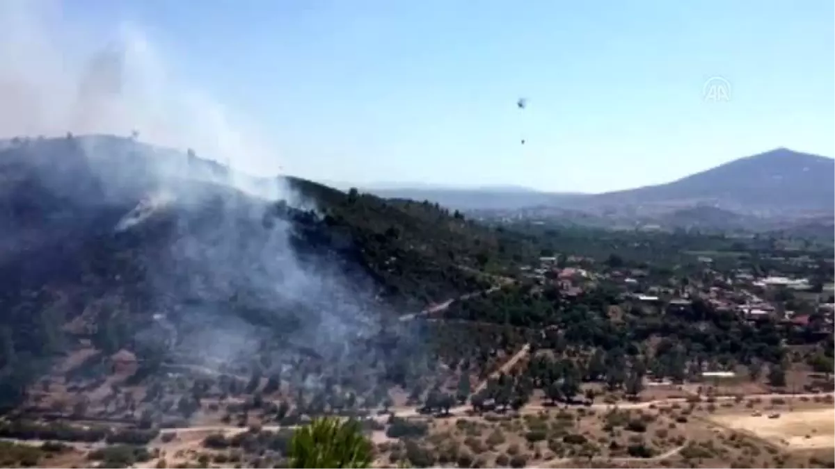 Son dakika haberi! Milas'ta çıkan orman yangını söndürüldü ...