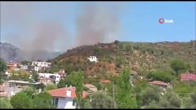 Son dakika... Milas'ta zeytinlik arazideki yangın söndürüldü