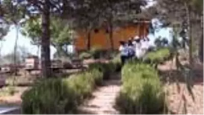Pandemi arıcılık sektörüne ilgiyi artırdı Pandemi arıcılık sektörüne ilgiyi artırdı