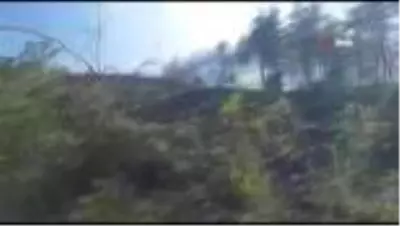 Son dakika haberleri! Sakarya'da ormanlık alanda yangın Son dakika haberleri! Sakarya'da ormanlık alanda yangın