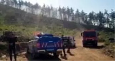 Son dakika haber | Sakarya'da ormanlık alanda yangın Son dakika haber | Sakarya'da ormanlık alanda yangın