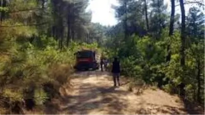 Son dakika haber | Sakarya'da ormanlık alanda yangın Son dakika haber | Sakarya'da ormanlık alanda yangın