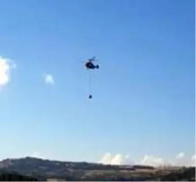 Son dakika haber | Sakarya'da ormanlık alanda yangın Son dakika haber | Sakarya'da ormanlık alanda yangın