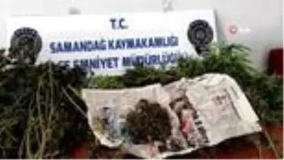Son dakika 3. sayfa: Samandağ'da hint keneviri operasyonu Son dakika 3. sayfa: Samandağ'da hint keneviri operasyonu