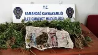 Son dakika... Samandağ'da uyuşturucu operasyonu Son dakika... Samandağ'da uyuşturucu operasyonu