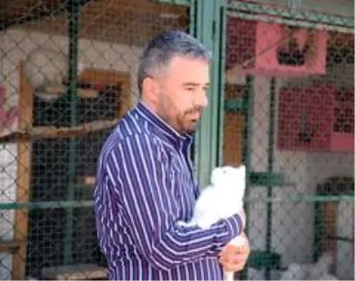 Sevimli dostlara sıcak bir yuva Sevimli dostlara sıcak bir yuva