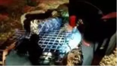 Son dakika... Sulama kanalına düşen köpeği itfaiye kurtardı Son dakika... Sulama kanalına düşen köpeği itfaiye kurtardı