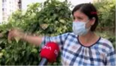 Son dakika haber: YARGITAY 2. DEFA KARARI BOZDU ACILI ANNE OĞLUMU DA MEZARDAN ÇIKARSINLAR DEDİ Son dakika haber: YARGITAY 2. DEFA KARARI BOZDU ACILI ANNE OĞLUMU DA MEZARDAN ÇIKARSINLAR DEDİ