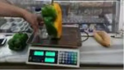 1 kilo ağırlığındaki dev dolmalık biberlerine alıcı bulamıyor 1 kilo ağırlığındaki dev dolmalık biberlerine alıcı bulamıyor
