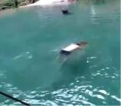 Son dakika haberi | Alanya'da doğal havuza atladı, ölümden döndü Son dakika haberi | Alanya'da doğal havuza atladı, ölümden döndü