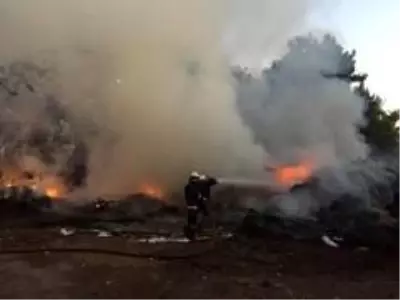 Son dakika haberleri! Alata'da çıkan yangın korkuttu Son dakika haberleri! Alata'da çıkan yangın korkuttu