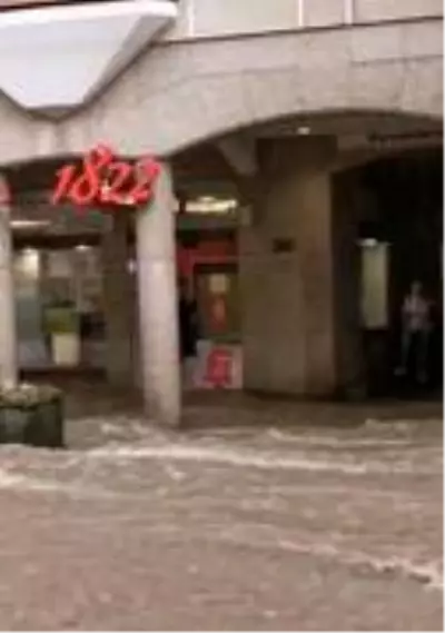 Almanya'da çöl sıcaklarının ardından şiddetli yağış başladı Almanya'da çöl sıcaklarının ardından şiddetli yağış başladı