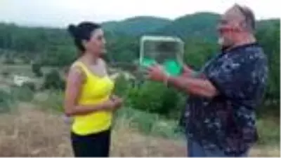 ANTALYA 5 ay evde bakılan 'kulaklı baykuş' doğaya salındı ANTALYA 5 ay evde bakılan 'kulaklı baykuş' doğaya salındı