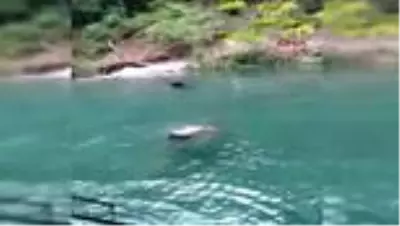 Son dakika haberi: ANTALYA Alanya'da doğal havuza atladı, ölümden döndü; Konunun uzmanı uyarmıştı - 1 Son dakika haberi: ANTALYA Alanya'da doğal havuza atladı, ölümden döndü; Konunun uzmanı uyarmıştı - 1