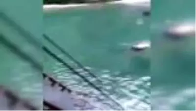 Antalya'da atladığı yapay havuzda başını taşa çarpan kişi, yaralandı Antalya'da atladığı yapay havuzda başını taşa çarpan kişi, yaralandı