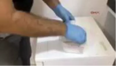 Son dakika haberleri... Antalya Polisi'nden uyuşturucu operasyonları Son dakika haberleri... Antalya Polisi'nden uyuşturucu operasyonları