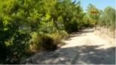 Son dakika gündem: ANTALYA Söndürülmeyen mangal ateşi, ormanı yaktı Son dakika gündem: ANTALYA Söndürülmeyen mangal ateşi, ormanı yaktı