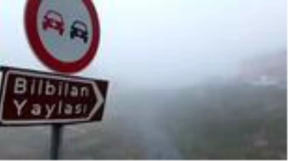 Bilbilan yaylasında sisle gelen masalsı güzellik